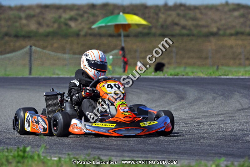 DSC_ (1655).jpg